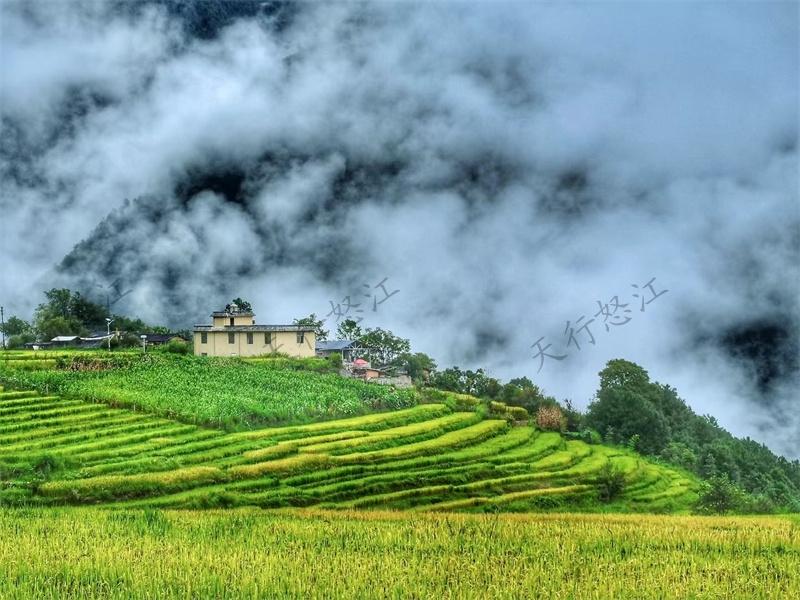怒江旅游丙中洛,以優(yōu)美的田園風(fēng)光和宗教賦予的山水神性而著稱,有人神共居的人間仙境之譽